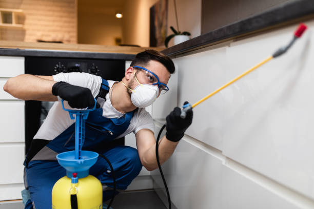 Best Bed Bug Extermination  in Roberts, WI