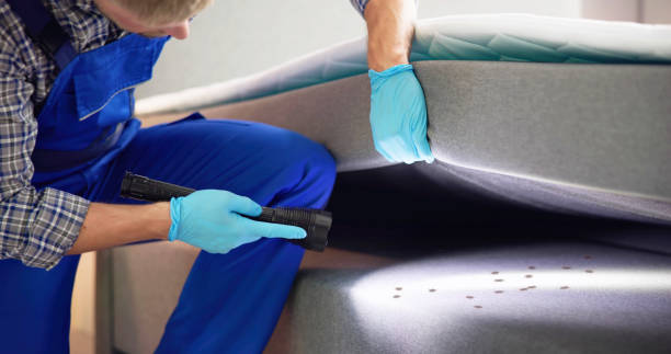 Best Ant Control Services  in Roberts, WI