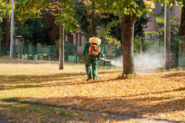 Best Wasp Removal Services  in Roberts, WI